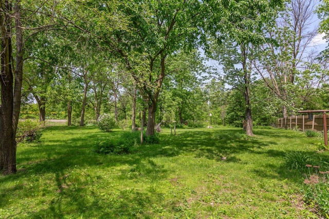 1034 8th St NW, Faribault, MN 55021 - view of yard