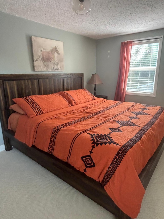 613 13th St SW, Willmar, MN 56201 - bedroom with a textured ceiling and carpet flooring