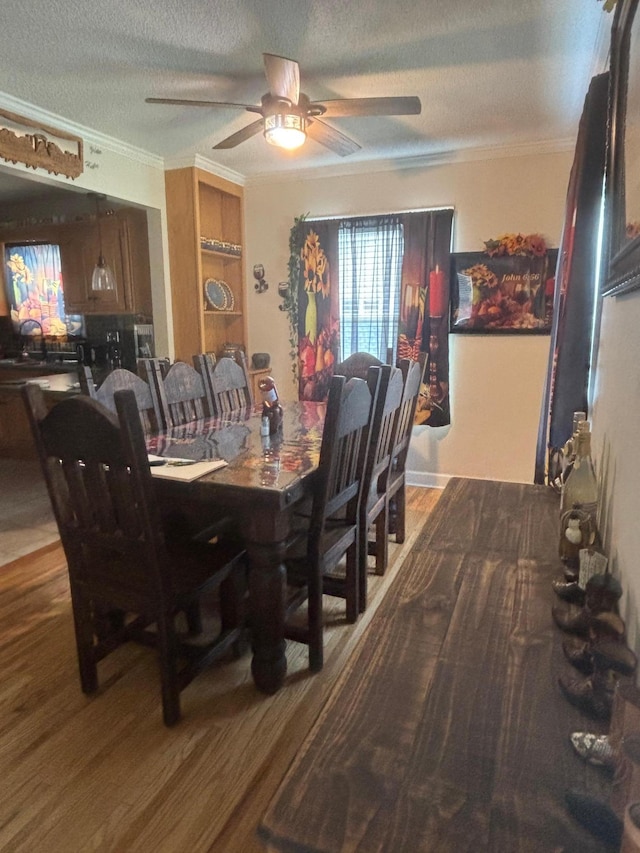 613 13th St SW, Willmar, MN 56201 - dining area with wood finished floors, crown molding, ceiling fan, and a textured ceiling