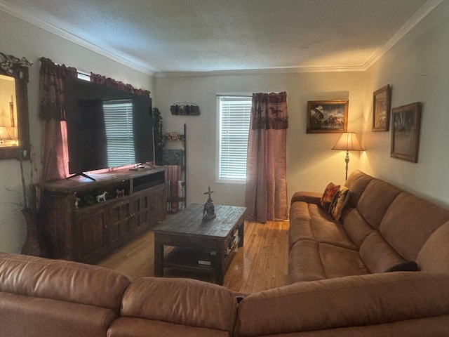 613 13th St SW, Willmar, MN 56201 - living area with crown molding and wood finished floors