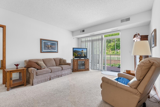 1880 3rd Ave NW Unit 202, Rochester, MN 55901 - living room with carpet flooring and a textured ceiling