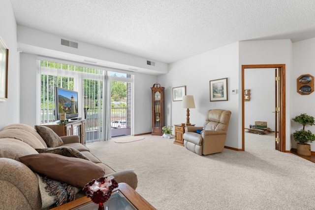1880 3rd Ave NW Unit 202, Rochester, MN 55901 - carpeted living area featuring a textured ceiling and baseboards