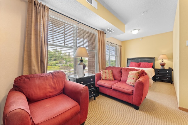 1880 3rd Ave NW Unit 202, Rochester, MN 55901 - living room with carpet