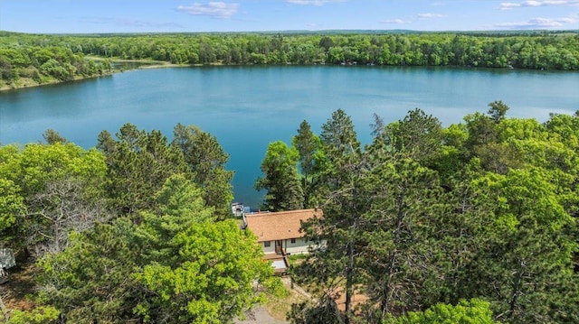 13956 Hardy Lake Rd SW, Pillager, MN 56473 - view from above of property with a forest and a nearby body of water