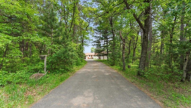 13956 Hardy Lake Rd SW, Pillager, MN 56473 - view of asphalt driveway