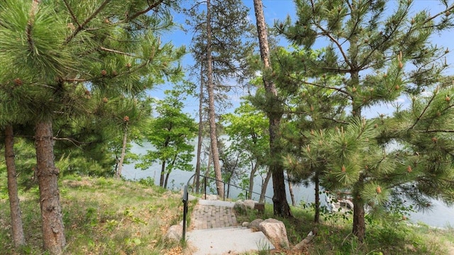 13956 Hardy Lake Rd SW, Pillager, MN 56473 - water view