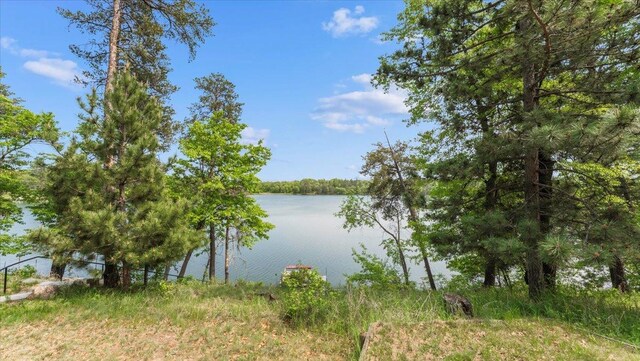 13956 Hardy Lake Rd SW, Pillager, MN 56473 - water view