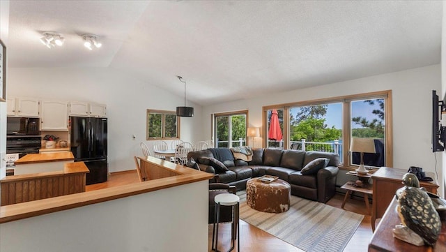 13956 Hardy Lake Rd SW, Pillager, MN 56473 - living room with vaulted ceiling and light wood-type flooring