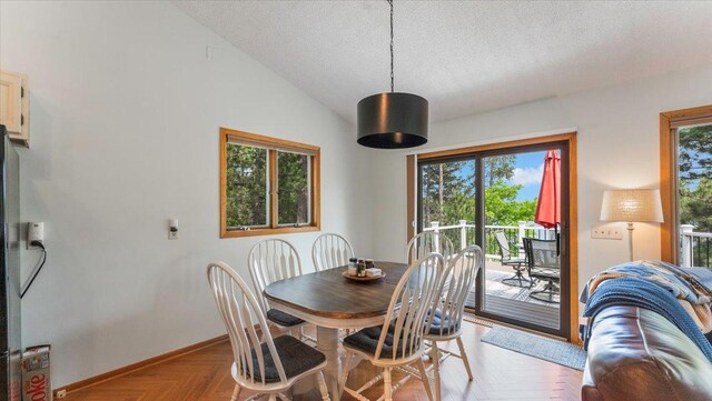 13956 Hardy Lake Rd SW, Pillager, MN 56473 - dining space featuring plenty of natural light, baseboards, a textured ceiling, and vaulted ceiling