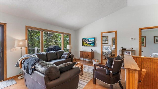 13956 Hardy Lake Rd SW, Pillager, MN 56473 - living room with vaulted ceiling, light wood-type flooring, and baseboards
