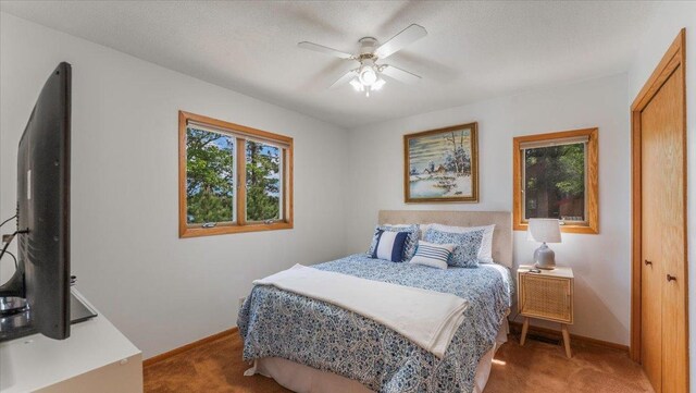 13956 Hardy Lake Rd SW, Pillager, MN 56473 - carpeted bedroom with baseboards, a closet, and a ceiling fan