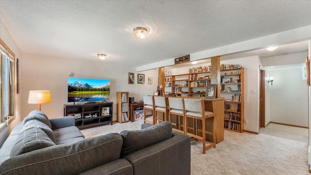13956 Hardy Lake Rd SW, Pillager, MN 56473 - living area featuring light colored carpet, a textured ceiling, and baseboards