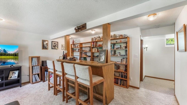 13956 Hardy Lake Rd SW, Pillager, MN 56473 - bar featuring light colored carpet, a textured ceiling, and baseboards