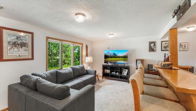 13956 Hardy Lake Rd SW, Pillager, MN 56473 - living area with a textured ceiling and carpet flooring