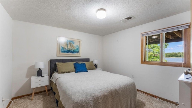 13956 Hardy Lake Rd SW, Pillager, MN 56473 - bedroom featuring light colored carpet, a textured ceiling, and baseboards