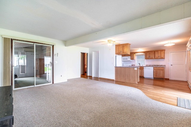 27326 Cloverleaf Ln, Everts Twp, MN 56515 - unfurnished living room featuring light carpet, ceiling fan, and a sink