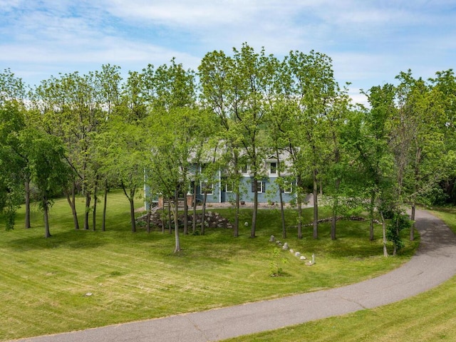 7010 Oak Ridge Rd, Corcoran, MN 55340 - view of property's community with a lawn and view of wooded area