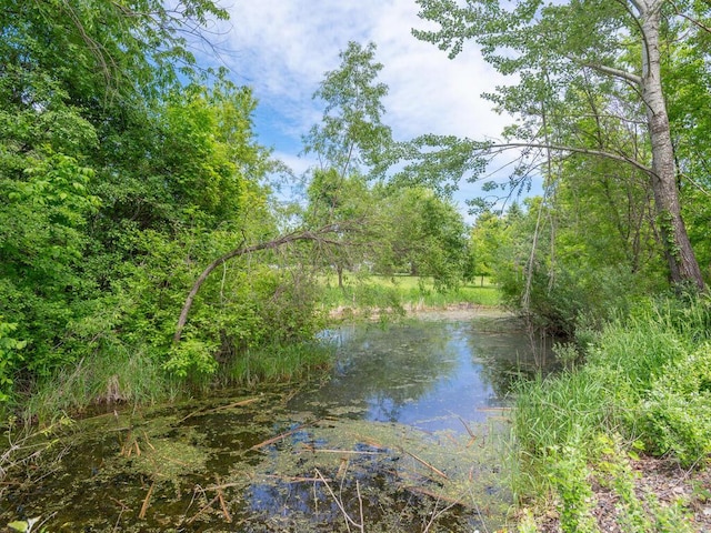7010 Oak Ridge Rd, Corcoran, MN 55340 - water view