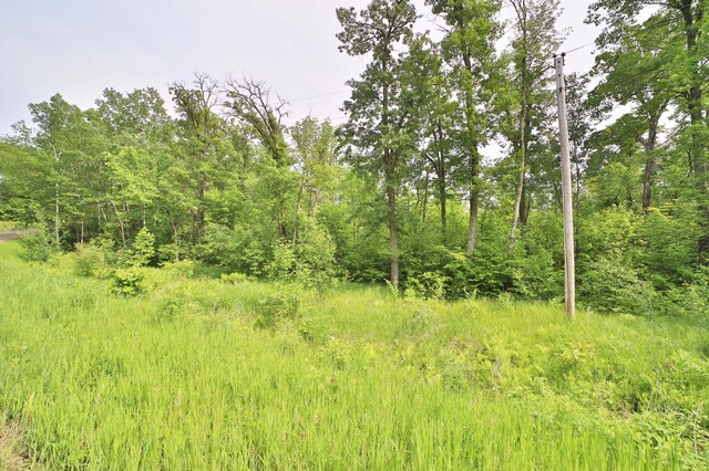 TBD Cypress Lane, Garrison, MN 56450 - photo 3