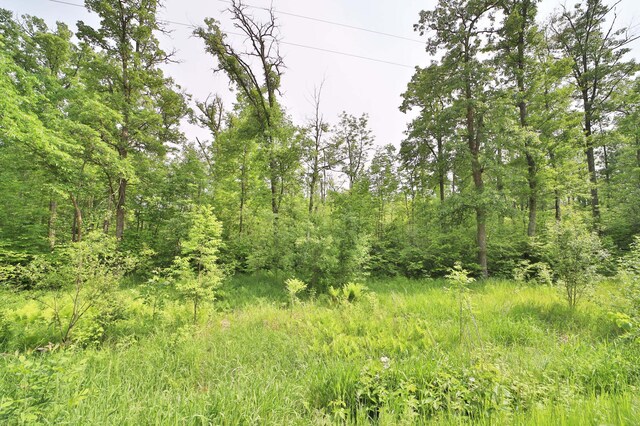 TBD Cypress Lane, Garrison, MN 56450 - photo 4