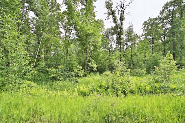 TBD Cypress Lane, Garrison, MN 56450 - photo 7