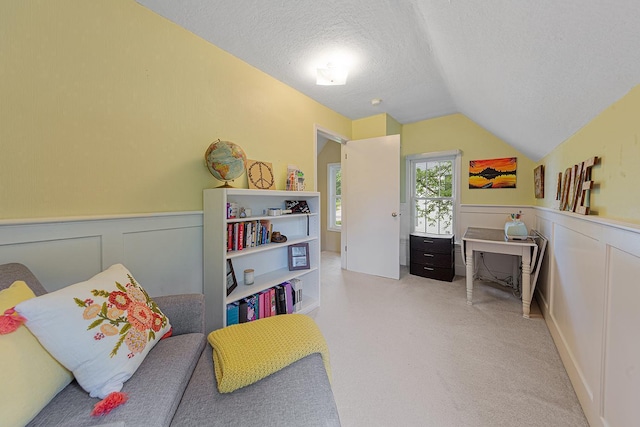 310 Belle St W, Cannon Falls, MN 55009 - bedroom with a textured ceiling, vaulted ceiling, wainscoting, and light carpet