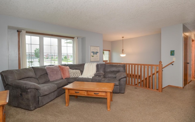 1046 Roosevelt St S, Cambridge, MN 55008 - living room with carpet flooring and a textured ceiling