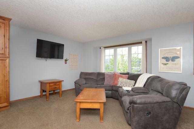 1046 Roosevelt St S, Cambridge, MN 55008 - living room with light carpet and a textured ceiling