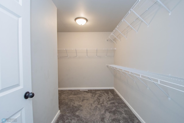 7364 27th St S, Fargo, ND 58104 - walk in closet with carpet flooring