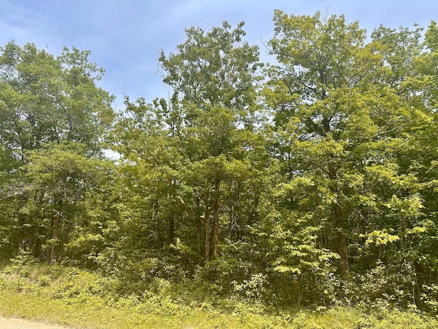 TBD County Road 157 Ne, Remer, MN 56672 - photo 4