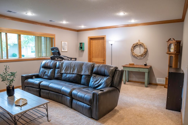 1804 Wildflower Ln NE, Alexandria, MN 56308 - photo 23