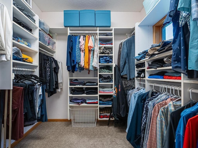 1875 26th Ave NW, New Brighton, MN 55112 - walk in closet with carpet floors