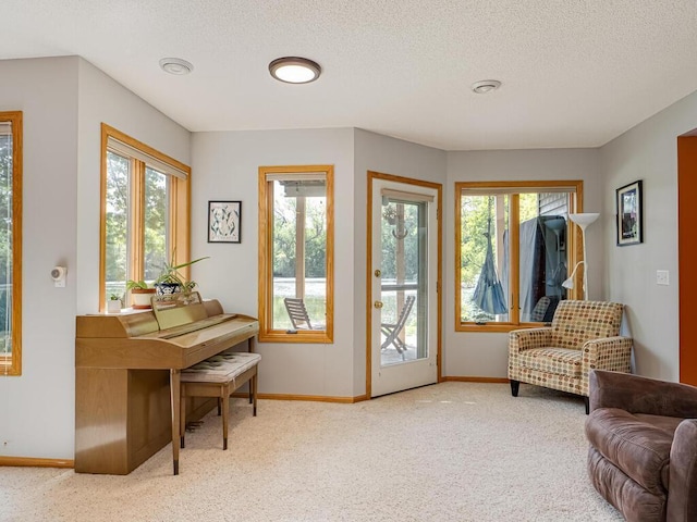 1875 26th Ave NW, New Brighton, MN 55112 - doorway to outside with baseboards, carpet flooring, plenty of natural light, and a textured ceiling