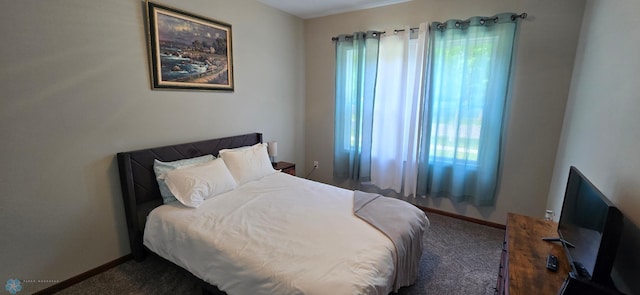1442 11th Ave S, Fargo, ND 58103 - bedroom featuring carpet floors and baseboards