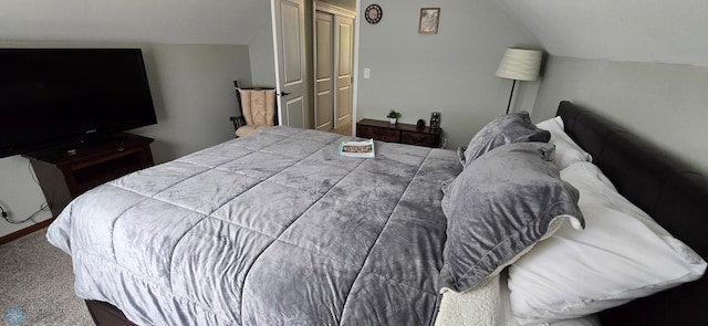 1442 11th Ave S, Fargo, ND 58103 - carpeted bedroom featuring vaulted ceiling and a closet