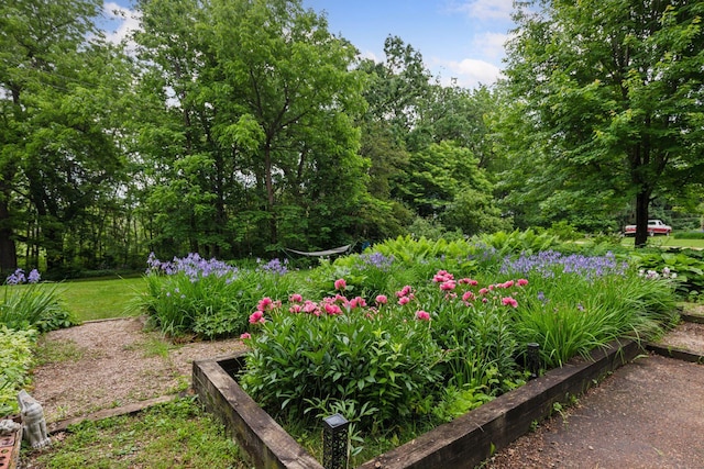 8482 150th St E, Northfield Twp, MN 55057 - view of yard