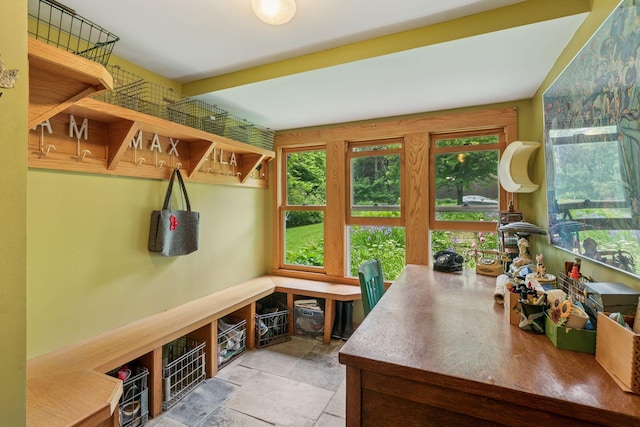 8482 150th St E, Northfield Twp, MN 55057 - mudroom with healthy amount of natural light and stone finish floors