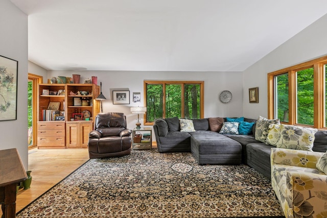 8482 150th St E, Northfield Twp, MN 55057 - living area featuring plenty of natural light and light wood-style flooring