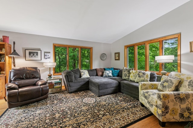 8482 150th St E, Northfield Twp, MN 55057 - living area with healthy amount of natural light, wood finished floors, and vaulted ceiling