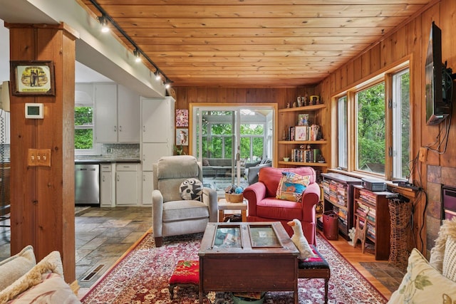 8482 150th St E, Northfield Twp, MN 55057 - living room with rail lighting, healthy amount of natural light, wood walls, and wood ceiling