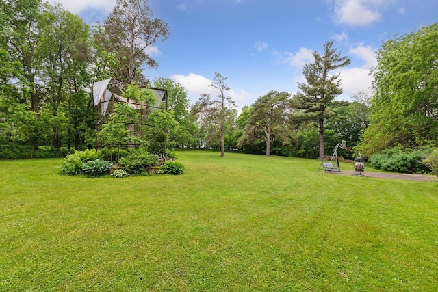 8482 150th St E, Northfield Twp, MN 55057 - view of grassy yard
