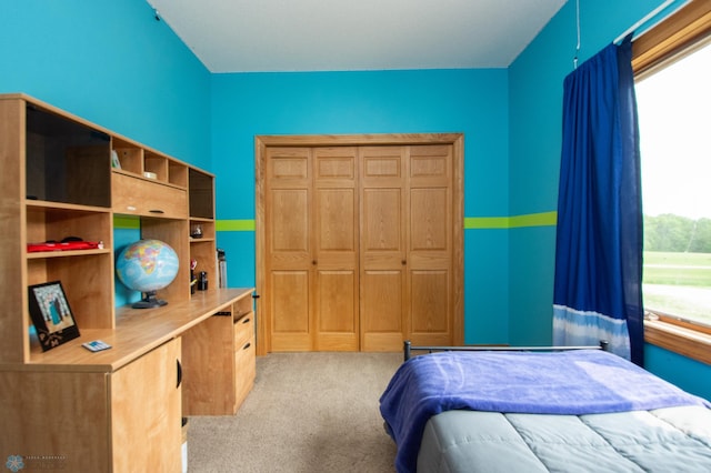 11905 Hunter Dr, Lake Park Twp, MN 56554 - bedroom featuring light colored carpet and a closet