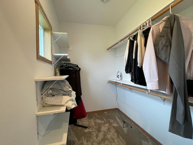 1504 3rd Ave N, Cold Spring, MN 56320 - walk in closet with carpet floors
