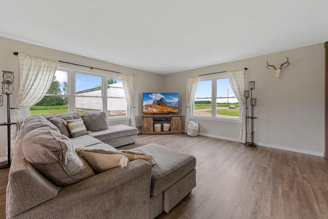 28145 State Highway 112, Le Sueur, MN 56058 - living room featuring wood finished floors, plenty of natural light, and baseboards