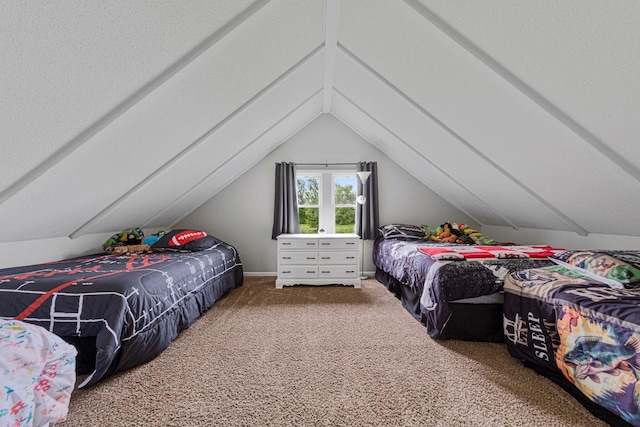 28145 State Highway 112, Le Sueur, MN 56058 - bedroom with carpet flooring and lofted ceiling