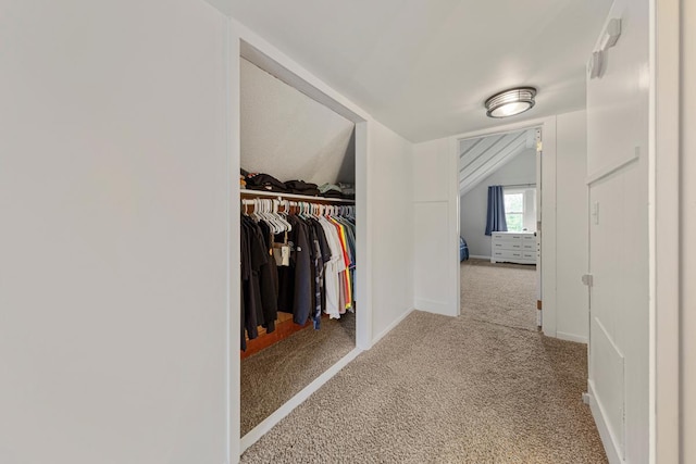 28145 State Highway 112, Le Sueur, MN 56058 - walk in closet with carpet and lofted ceiling
