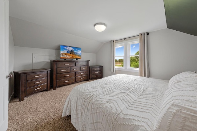 28145 State Highway 112, Le Sueur, MN 56058 - bedroom featuring lofted ceiling and light carpet