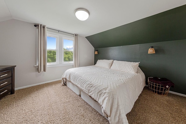 28145 State Highway 112, Le Sueur, MN 56058 - bedroom featuring lofted ceiling, carpet flooring, and baseboards