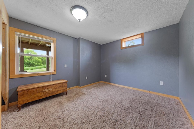 28145 State Highway 112, Le Sueur, MN 56058 - carpeted spare room featuring a textured ceiling and baseboards