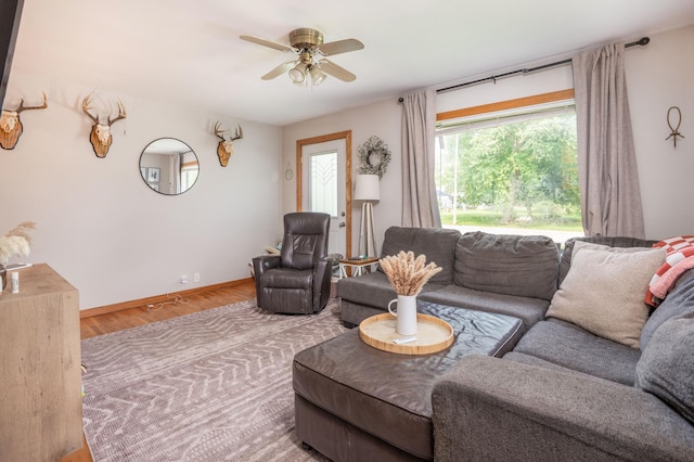 2020 7th St SW, Willmar, MN 56201 - living area with ceiling fan, wood finished floors, and baseboards